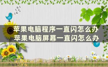 苹果电脑程序一直闪怎么办 苹果电脑屏幕一直闪怎么办